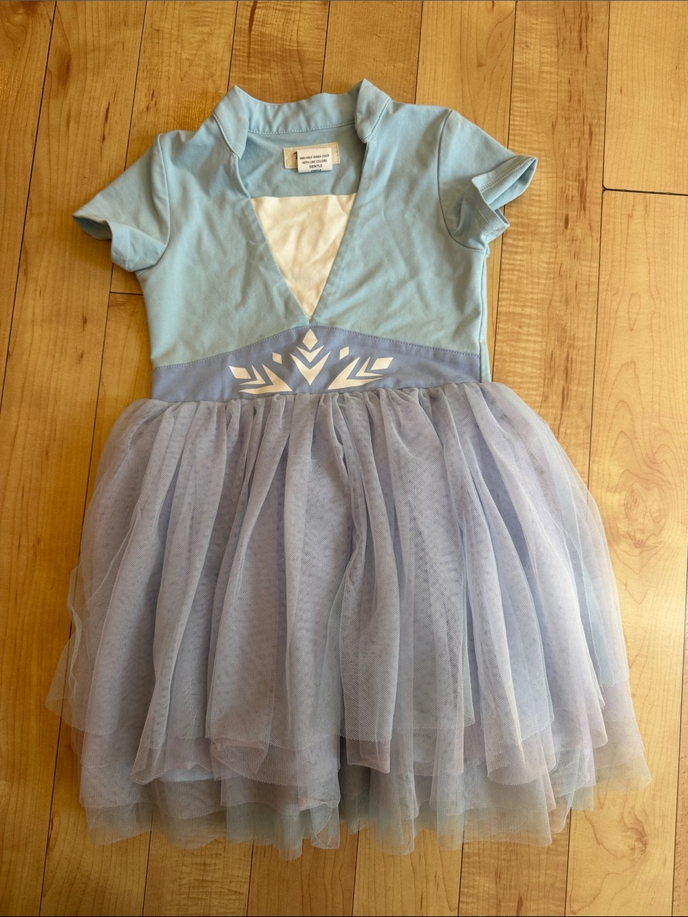 Taylor Joelle Elsa Princess Disney dress